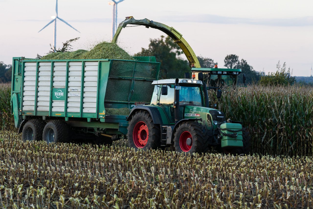 Bild 24 - Maisernte am 11.10.12